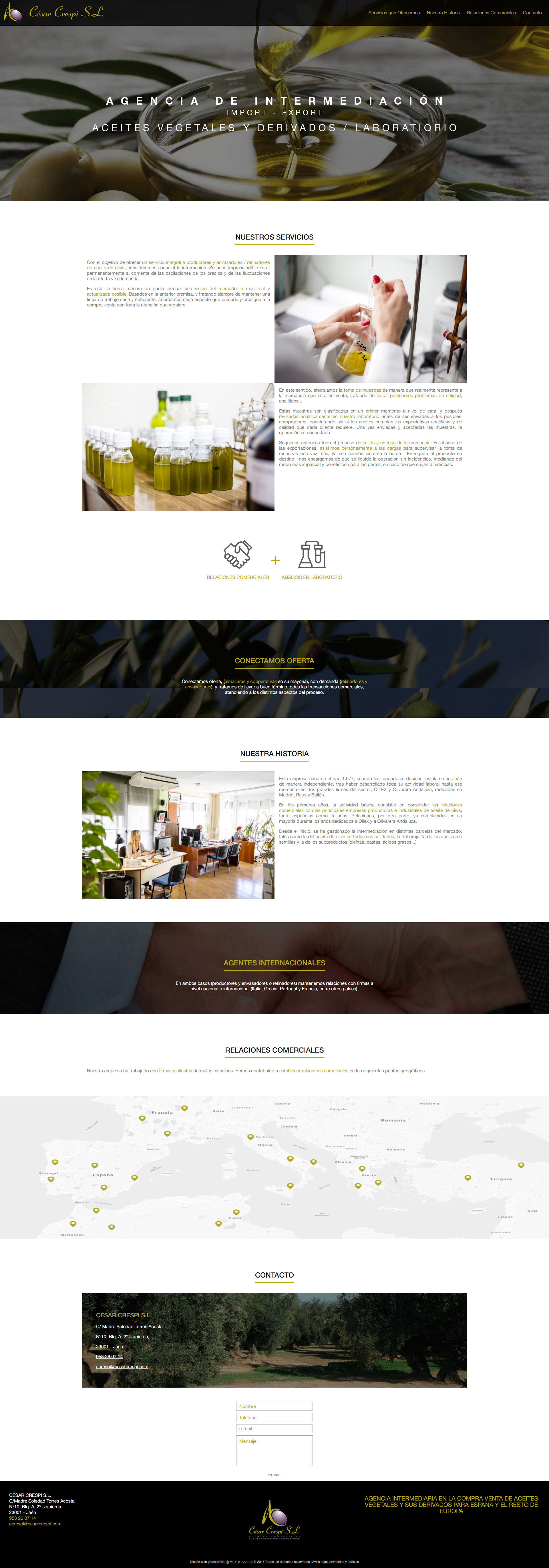 Diseño web en Jaen