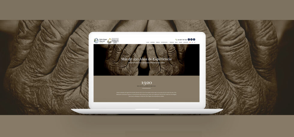 Web Aceitex